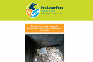 Predator Free Hawke's Bay February Newsletter