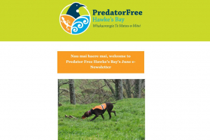 Predator Free Hawke's Bay June Newsletter