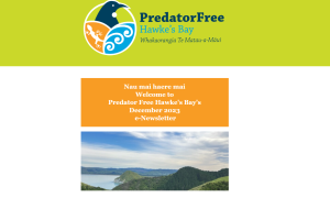 Predator Free Hawke's Bay December Newsletter