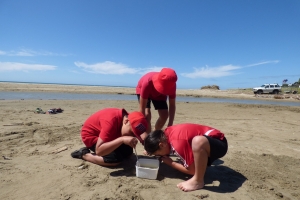 Taking education to the next level: teaching the teachers in Te Matau a Māui/Hawke's Bay