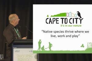 Cape to City's Presentation from Crazy and Ambitious Conference Available Online