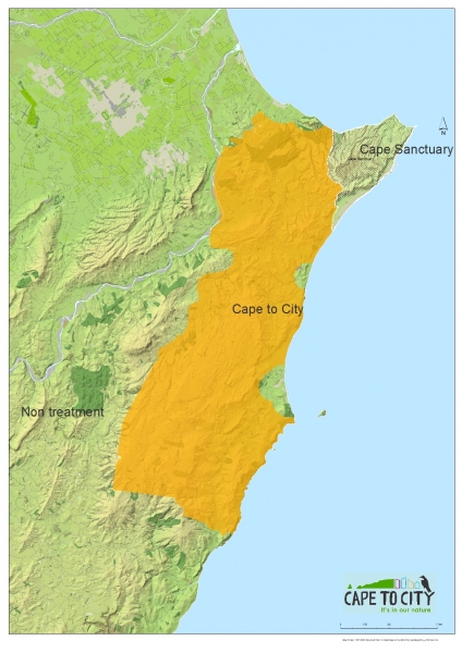 Cape to City bird monitoring