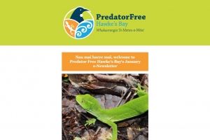 Predator Free Hawke's Bay January 2021 e-Newsletter