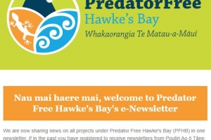 Predator Free Hawke's Bay October e-Newsletter