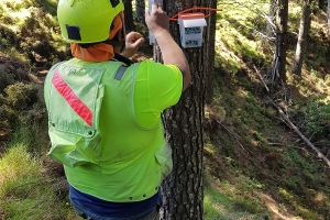 Number eight wire key to Whakatipu Māhia possum eradication