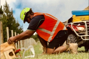 Hawke’s Bay leading the way in predator control